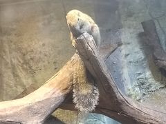 -苏州海洋馆