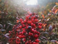 -江南大学(蠡湖校区)