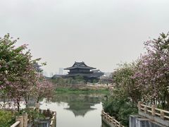 -海珠湖公园