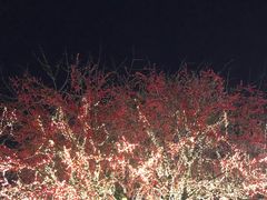 -大雁塔北广场音乐喷泉
