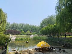 -仁和公园(顺义区)