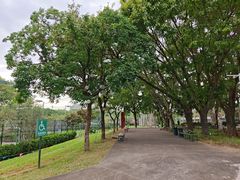 -观澜湖生态运动公社