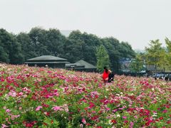 -保利石象湖景区