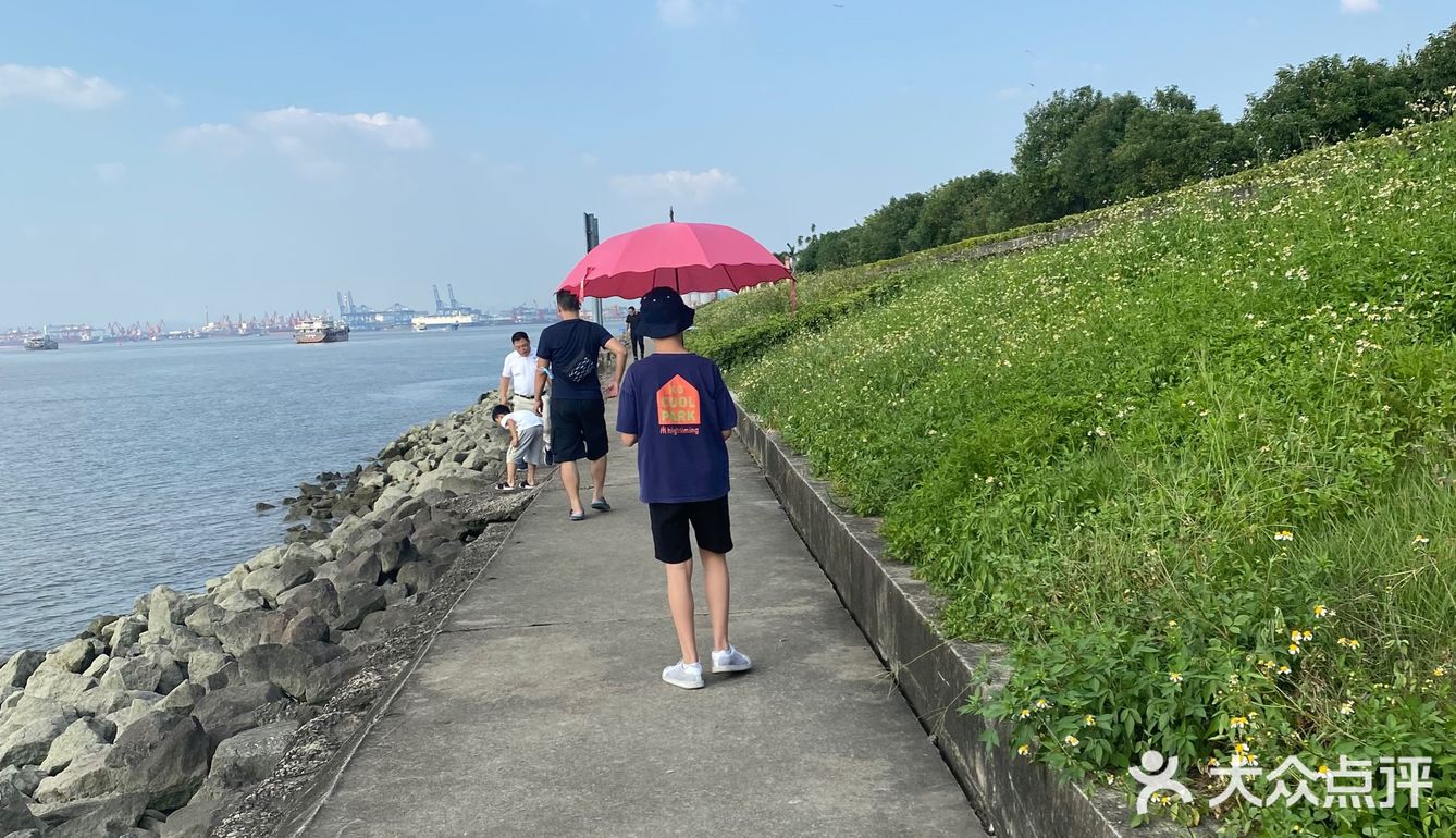 海鸥岛游啊游