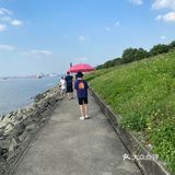 海鸥岛游啊游