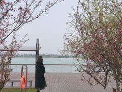 -海宁鹃湖公园