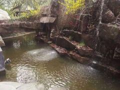 -西安国际创新人才交流中心•药浴温泉
