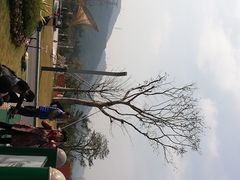 -白石龙音乐公园
