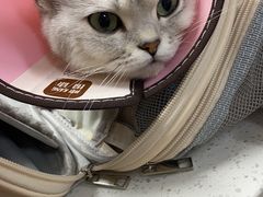 -联合动物医院(光谷诊疗中心)