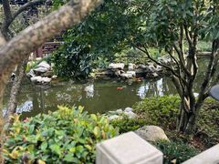 -杭州西子湖四季酒店-WL BISTRO西湖餐厅(灵隐路店)