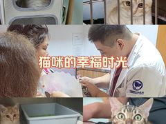 -宠福鑫动物医院(城北分院)