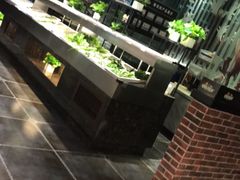 -欢乐牧场(T12店)