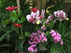 -春暖花开(西溪店)