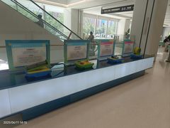 -东北大学附属辽宁爱尔眼科医院