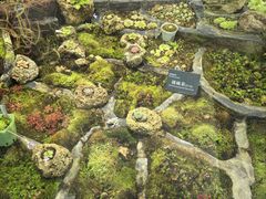 -国家植物园南园