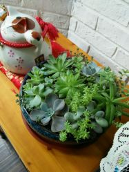 android_upload_pic-纯色时光婚纱艺术馆WHITE