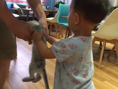 -藦茜花园宠物主题亲子互动体验馆(国顺东路店)