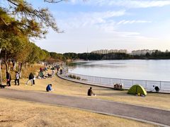 -美兰湖景区