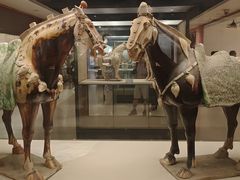 -西安大唐西市博物馆