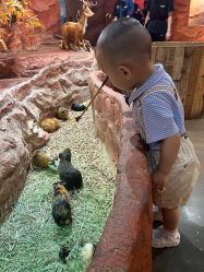 点击看大图 -Zoolung Zoolung动物主题公园(海信广场店)