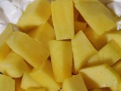 -维尔纳斯·生日蛋糕·动物奶油冰淇淋蛋糕(六里桥店)