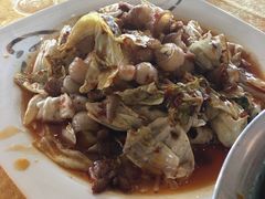 -胖大姐黄辣丁鱼庄(新津店)