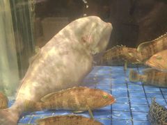 -聚福宝合苑食府(南头镇店)