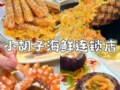 -亚龙湾热带天堂森林公园