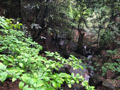 -莫干山风景区