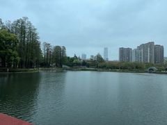 -四海公园(南山区)