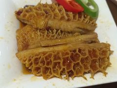 咖喱金钱肚-大水车公馆·顺德菜·妈姐菜(均安店)
