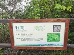 -会仙湿地