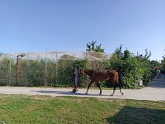 -意大利农场度假村