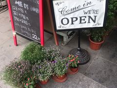 -Cafe Alice咖啡爱丽丝(奥城店)