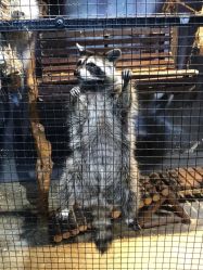 -酷嗒动物文化乐园(cutezoo西溪乐天城店)