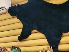 -米德维奇俄式西餐厅(西六道街店)