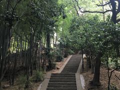 -峙山公园