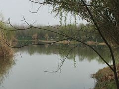 -白鹭湾湿地公园