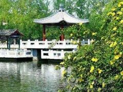 android_upload_pic-西海子公园