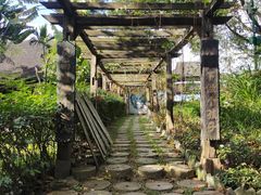 -西双版纳基诺山寨