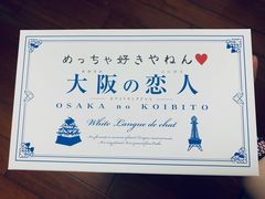-关西国际机场直营免税店