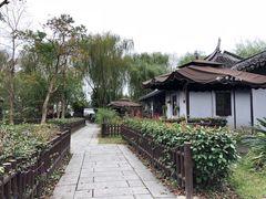 -金山农民画村-枫泾波兰倒置屋