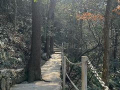 -马仁奇峰