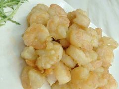 清炒虾仁-同发号饭庄(复兴路店)