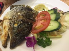 -万岁料理回转寿司(华贸店)