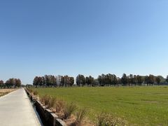 -崖口云吞(中堡店)