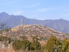 -白水寺森林公园