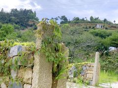 -鼓岭旅游度假区