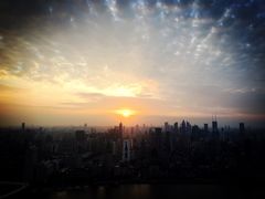 -金轩中餐厅 Jin Xuan(浦东丽思卡尔顿酒店)