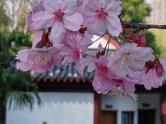 -堤角公园
